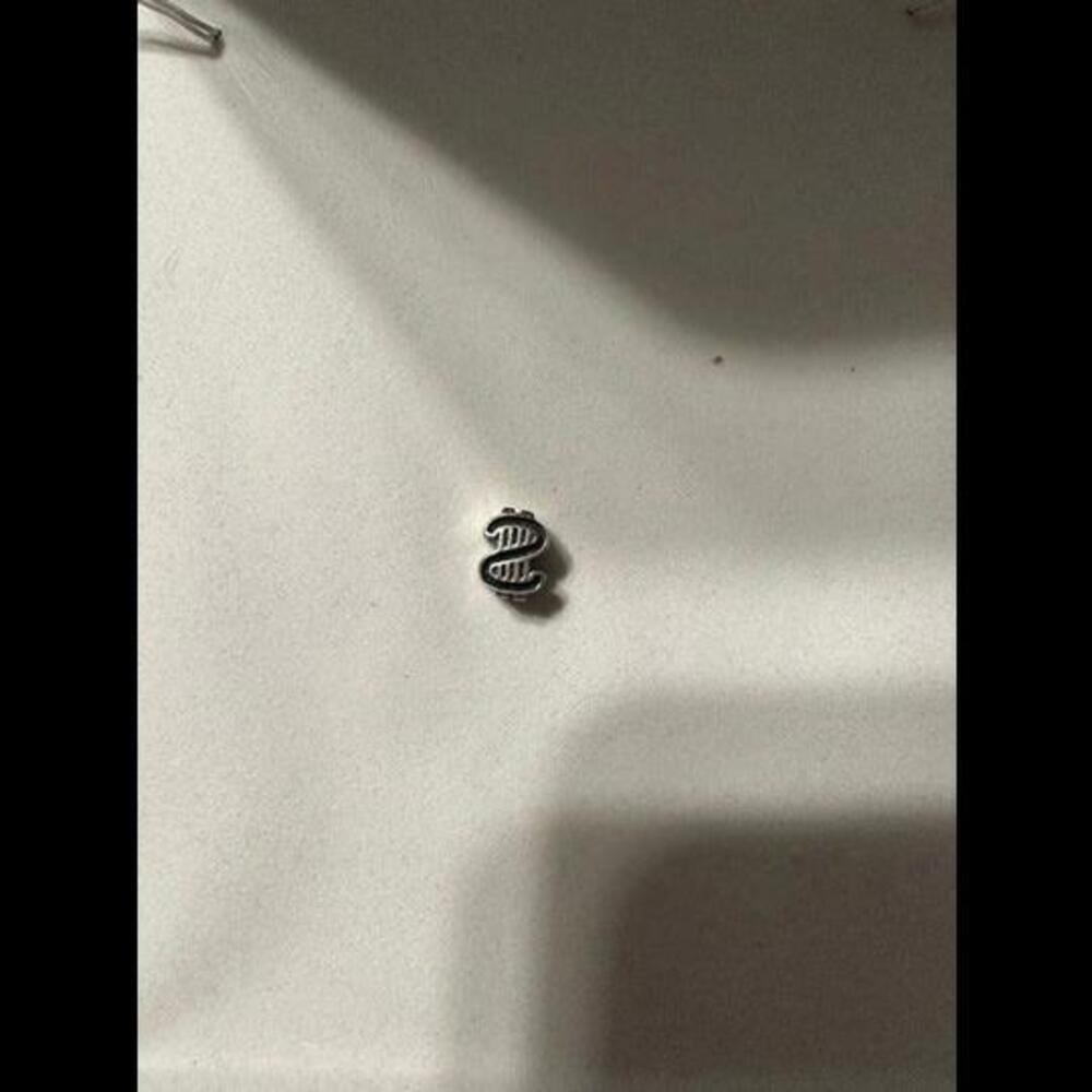 Captivating Elegance: Exquisite $ Sign Charm for Unforgettable Style!